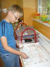 sted_keramika-03-04-2009-01.jpg
