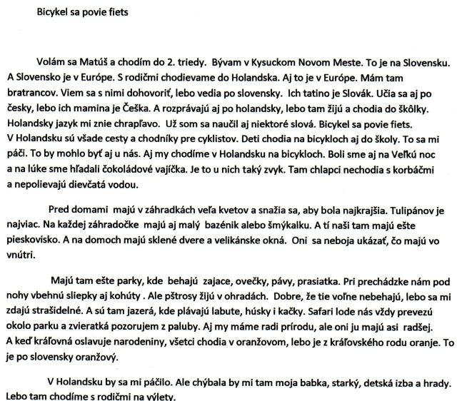 Literárna práca
